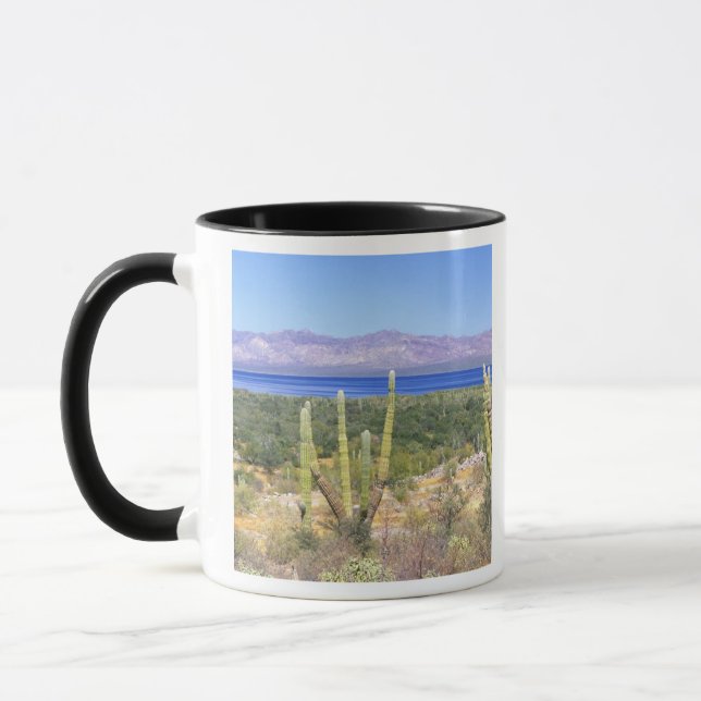 Taza México, Baja California Sur, Cardon Cactus en (Izquierda)