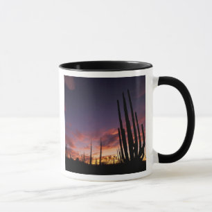 Taza México, Baja del Norte, Catavina Desierto Nacional