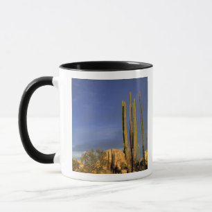 Taza México, Baja del Norte, Desierto Nacional de Catav