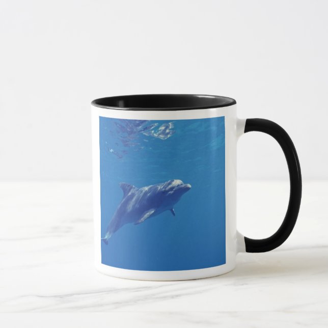 Taza México, Cozumel. Delfín de nariz de botella (Derecha)