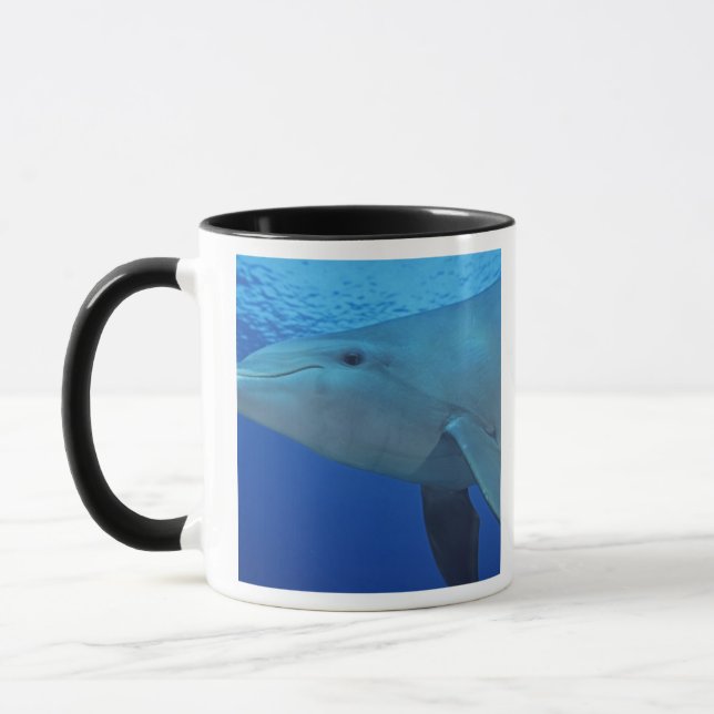 Taza México, Cozumel. Delfín embotellado, Tursiops 4 (Izquierda)