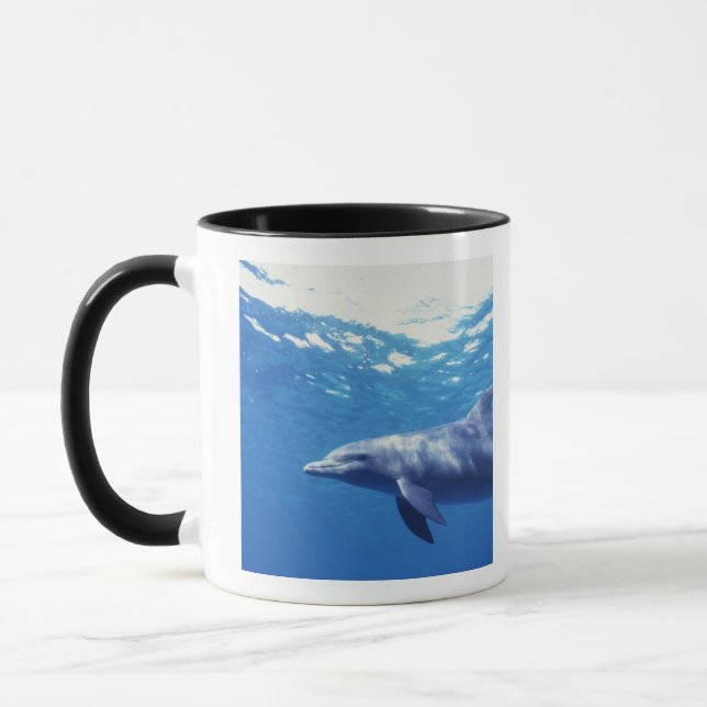 Taza México, Cozumel. Delfín mular, Tursiops 3 (Izquierda)