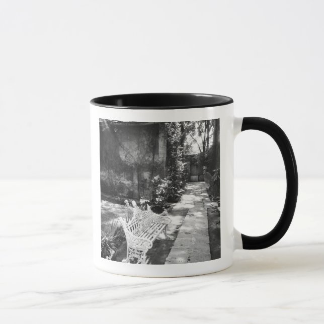 Taza MÉXICO, D.F., Ciudad de México, COYOACAN: Banco en (Derecha)