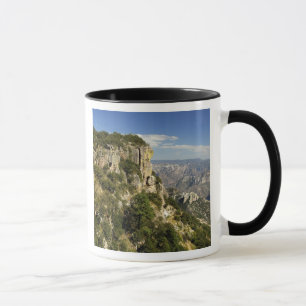 Taza México, Estado de Chihuahua, Cañón de Cobre. ES