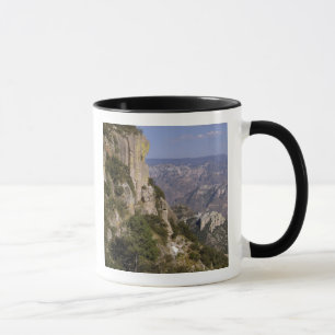 Taza México, Estado de Chihuahua, Cañón de Cobre. ES