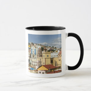Taza México, Estado de Guanajuato, Guanajuato. Basíli