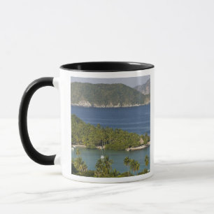 Taza México, Guerrero, Zihuatanejo. Playa Las Gatas-