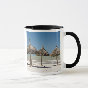 Taza México, Península de Yucatán, Progreso. Paja