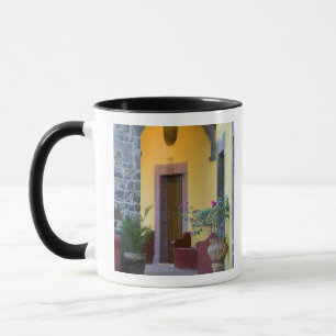 Taza México, San Miguel de Allende, Entrada de Arco