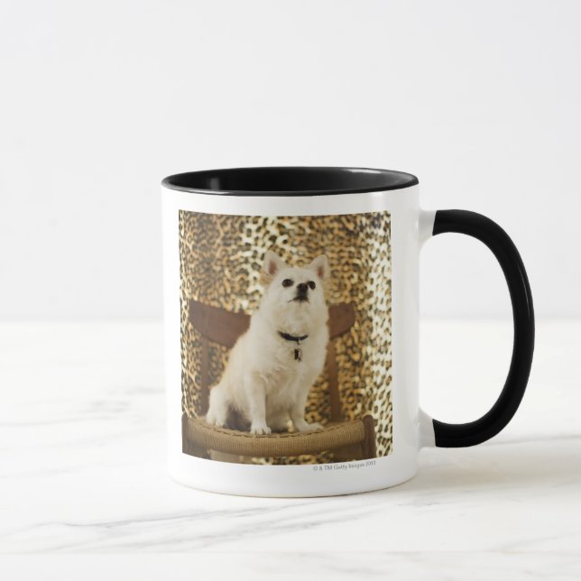 Taza Mezcla de Pomeranian (Derecha)