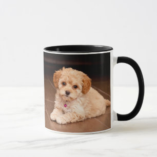 Taza Mezcla del caniche del bebé o perro de perrito