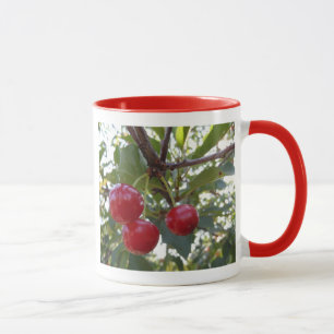 Taza Michigan Cherries