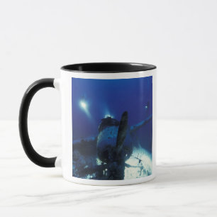 Taza Micronesia, Palau, sitio Patrimonio Mundial. Buzos