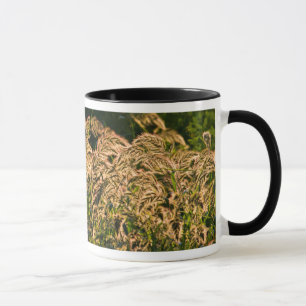Taza Mijo Silvestre (Panicum Sp.) Creciendo En Humedal