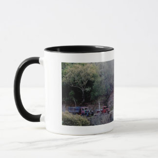 Taza Mikeith Trucks