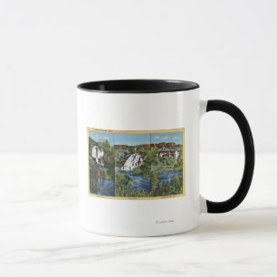 Taza Mil primaveras, identificación - enebro, ala, y