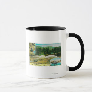 Taza Minería aurífera en California StateState