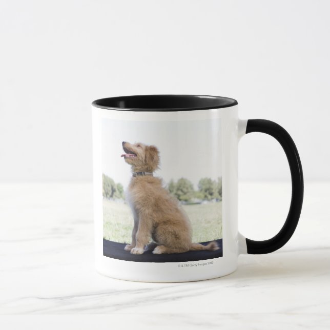 Taza Mini doodle de oro (Derecha)