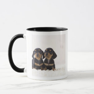 Taza Mini sentada del Dachshund dos