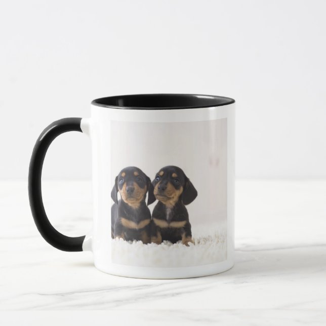 Taza Mini sentada del Dachshund dos (Izquierda)