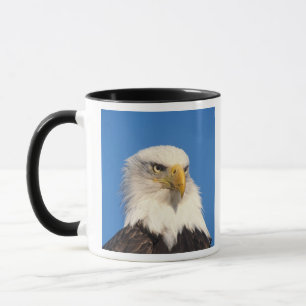 Taza Mirada de águila calva