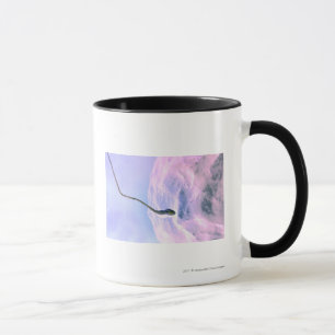 Taza Mirada magnificada en una esperma que fertiliza un