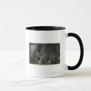 Taza Mitad de cataratas ocultas vista de la sala del ju