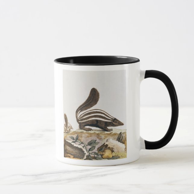 Taza Mofeta, de "Histoire Naturelle" cerca (Derecha)