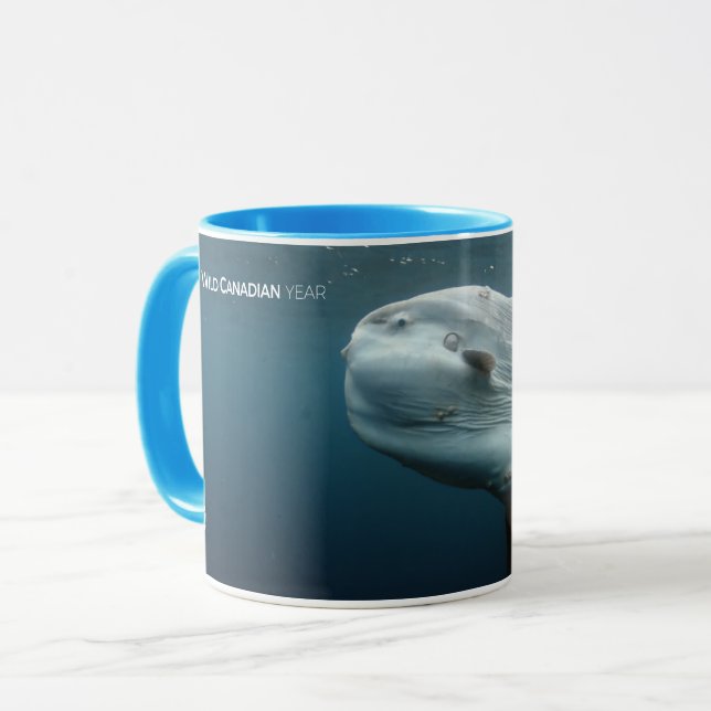 Taza Mola Mola (Anverso izquierdo)