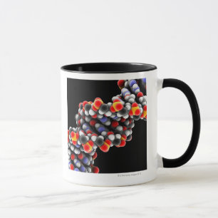 Taza Molécula de la DNA. Modelo molecular de la DNA