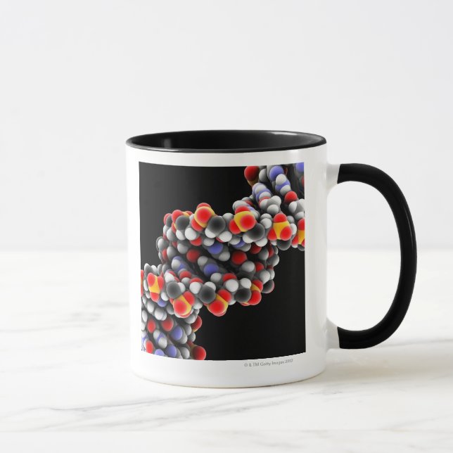 Taza Molécula de la DNA. Modelo molecular de la DNA (Derecha)