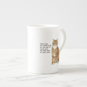 Taza molesta del gato