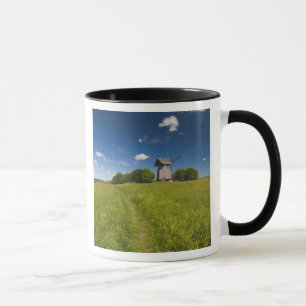 Taza Molino de viento en Mikhailovskoye