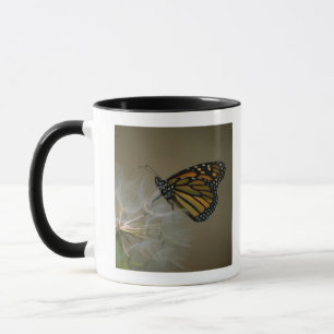 Taza Monarca en el diente de león