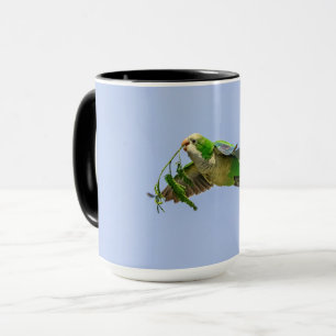 Taza Monk Parakeet en el valle del Río Grande