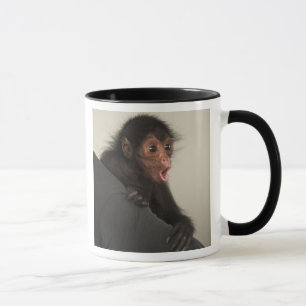 Taza Mono araña de cara roja Ateles paniscus)