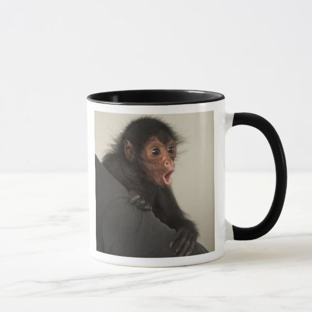 Taza Mono araña de cara roja Ateles paniscus) (Derecha)