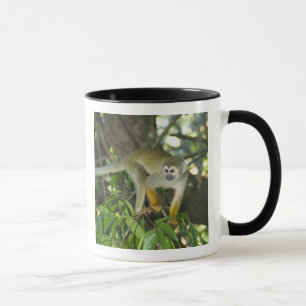 Taza Mono ardilla común, (Saimiri sciureus), Rio