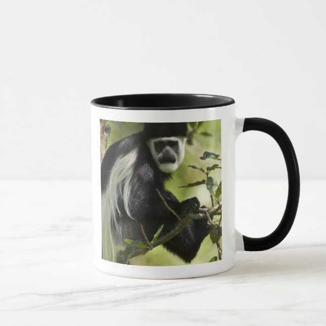 Taza Mono Colobo Negro y Blanco (Derecha)