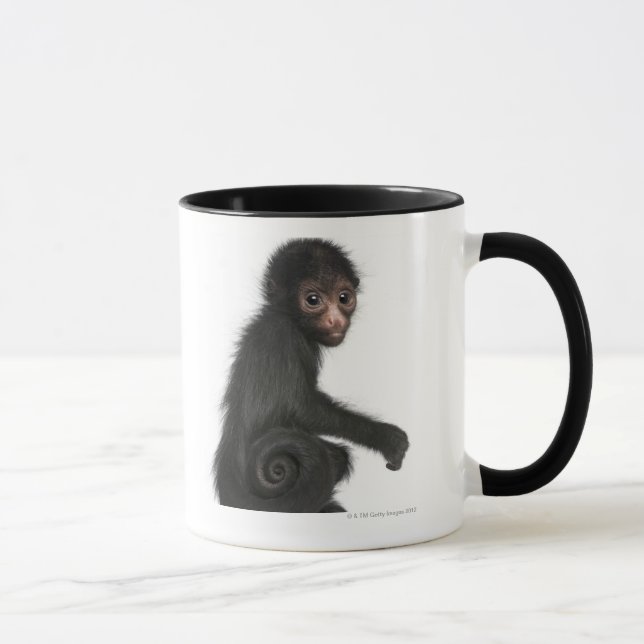 Taza mono de araña Rojo-hecho frente - paniscus del (Derecha)