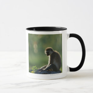 Taza Mono de la sabana