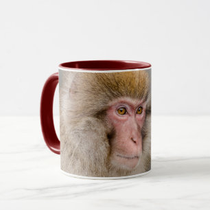 Taza Mono de nieve marrón, fotografía japonesa