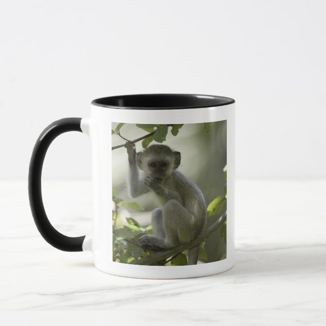 Taza Mono de Vervet, Zimbabwe (Izquierda)