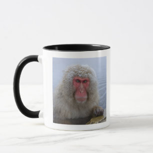 Taza Mono japonés de la nieve en fuente termal