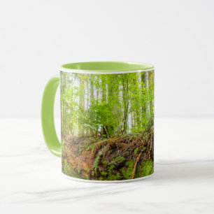 Taza Montaña Tiger Issaquah, Estado de Washington