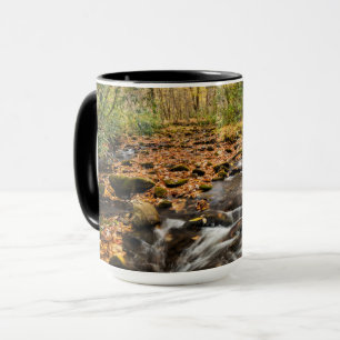 Taza Montañas Cataloochee Creek NC Great Smoky