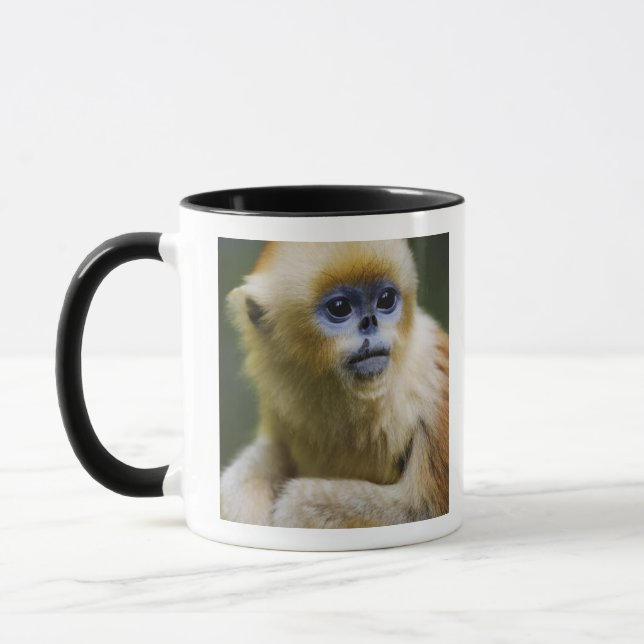 Taza Montañas de Qinling, octubre de 2006 (Izquierda)