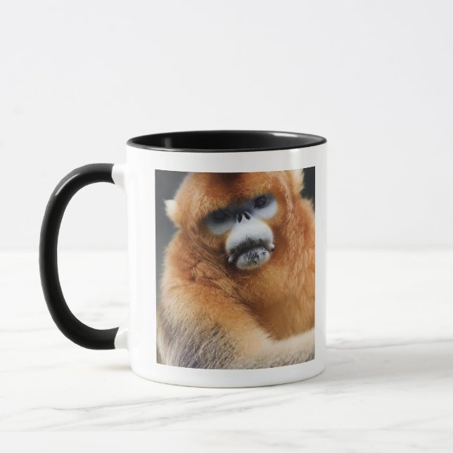 Taza Montañas de Qinling, octubre de 2006 2 (Izquierda)