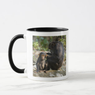 Taza Montañas parque nacional, Tanzania de Mahale