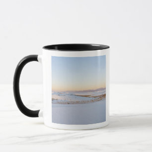 Taza Monumento Nacional White Sands, Dunas Transversale